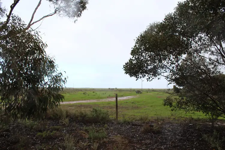 Second view of Homely house listing, 48 Waits Road, Bungama SA 5540