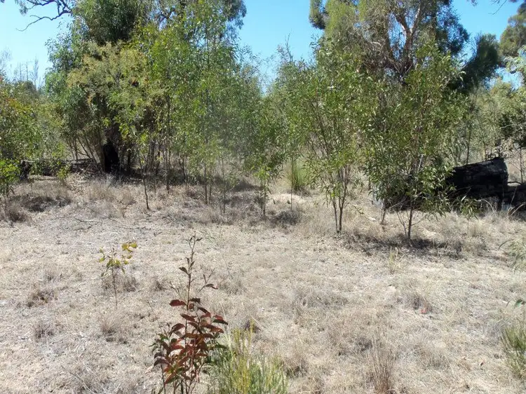 Third view of Homely land listing, Lot 41 Bennetts School Road St, Tara QLD 4421