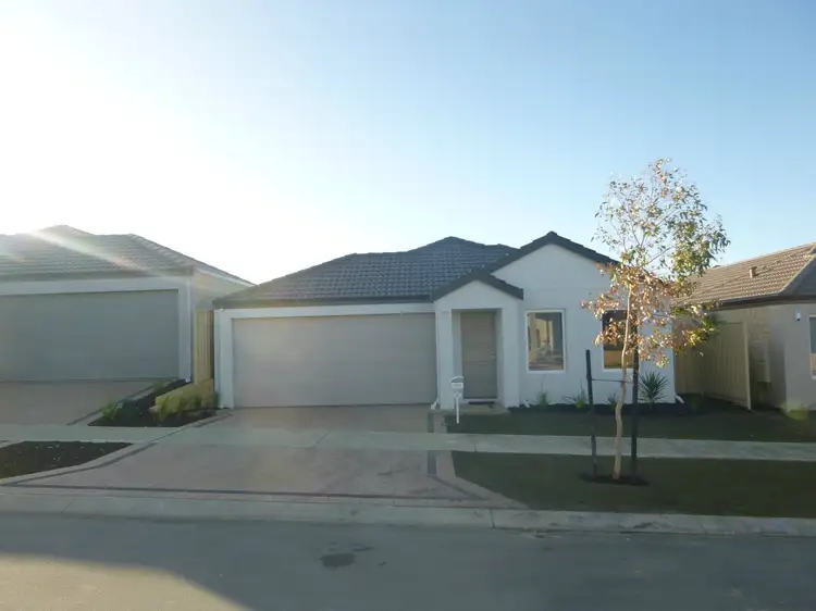 5 Haverhill Road, Butler WA 6036
