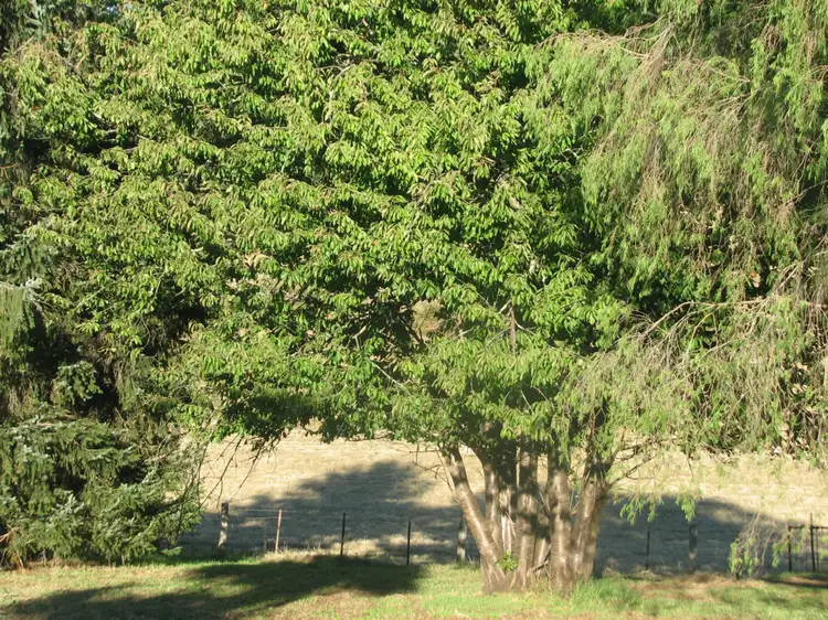 28 School Road St, Erica VIC 3825