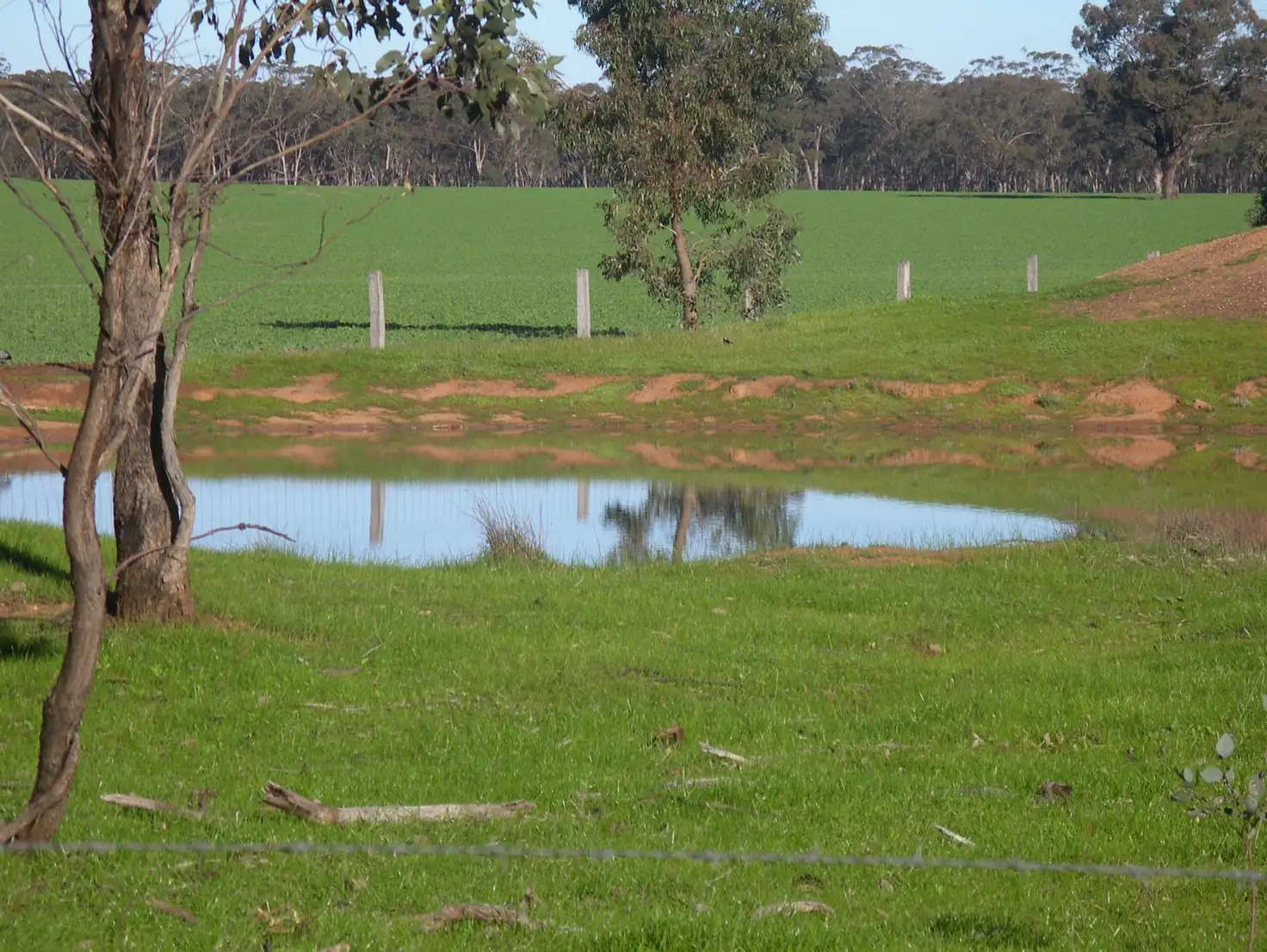 Main view of Homely land listing, 2000 Elmore Raywood Road, Kamarooka VIC 3570