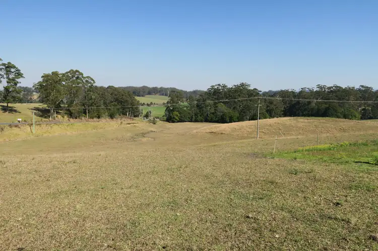 Third view of Homely rural property listing, 295 Wirrimbi Road, Newee Creek NSW 2447