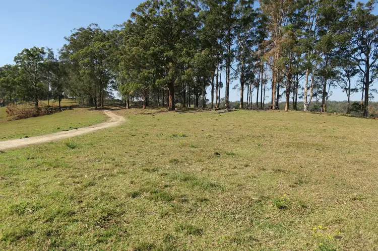 Fourth view of Homely rural property listing, 295 Wirrimbi Road, Newee Creek NSW 2447