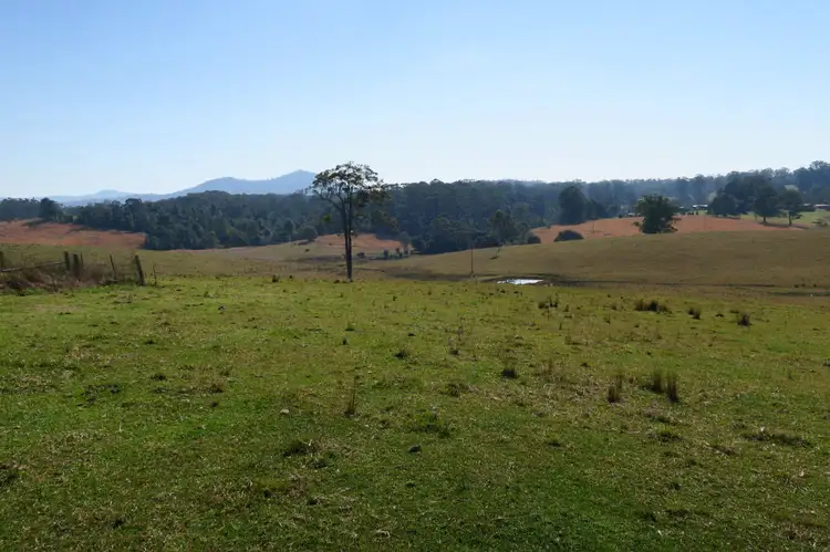 Fifth view of Homely rural property listing, 295 Wirrimbi Road, Newee Creek NSW 2447