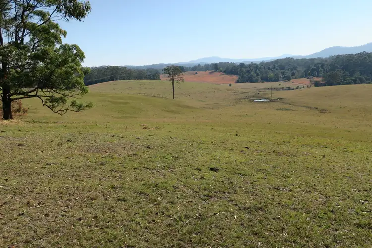 Sixth view of Homely rural property listing, 295 Wirrimbi Road, Newee Creek NSW 2447