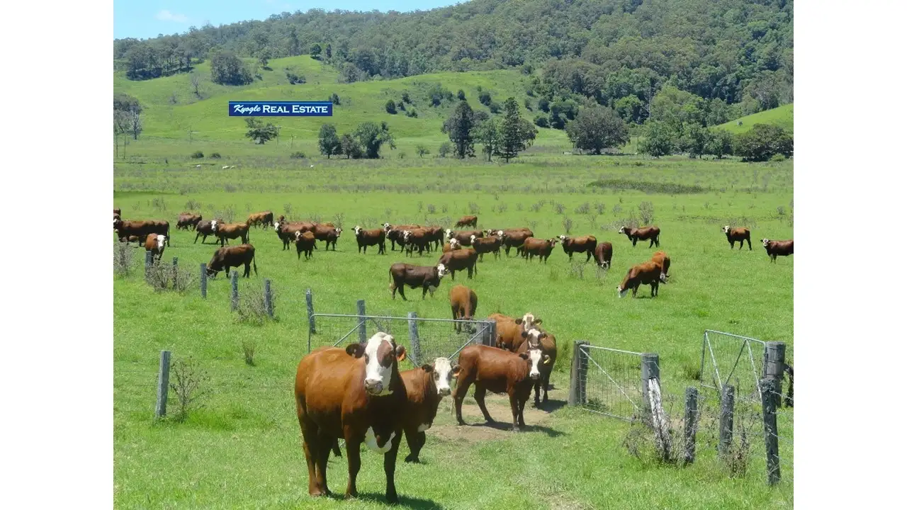 Main view of Homely rural property listing, Address available on request