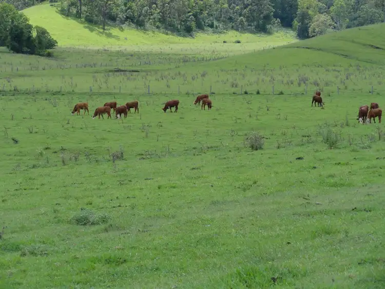 Fifth view of Homely rural property listing, Address available on request