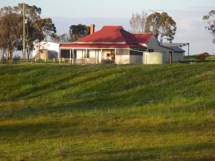 384 Charlton Borung Road St, Borung VIC 3518