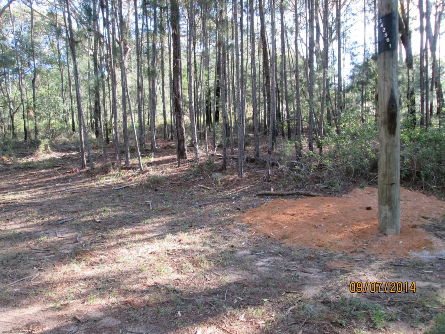 Main view of Homely land listing, 9 Harrison Street, Russell Island QLD 4184