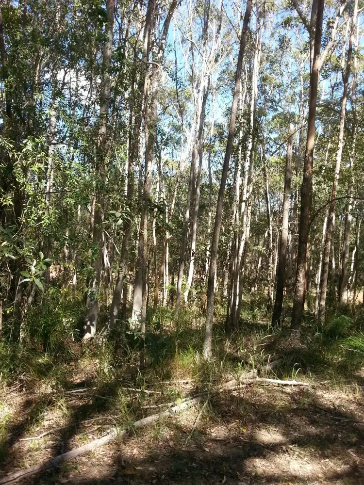 Main view of Homely land listing, 22 Harvey Street, Russell Island QLD 4184