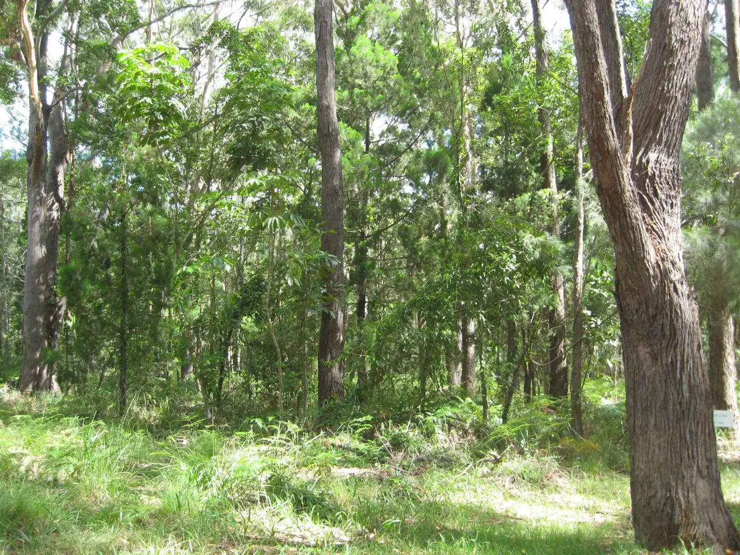 Main view of Homely land listing, 11 Meadstone Street, Russell Island QLD 4184