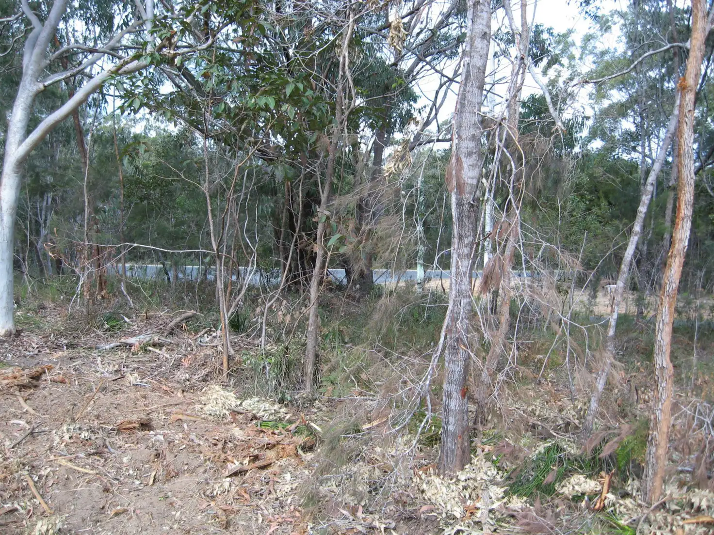 Main view of Homely land listing, 1 Stradbroke Drive, Russell Island QLD 4184