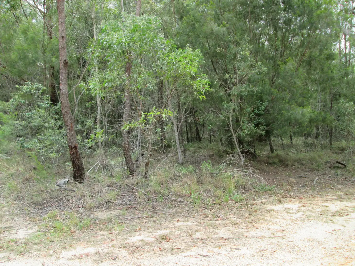 Main view of Homely land listing, 40 Yacht Street, Russell Island QLD 4184