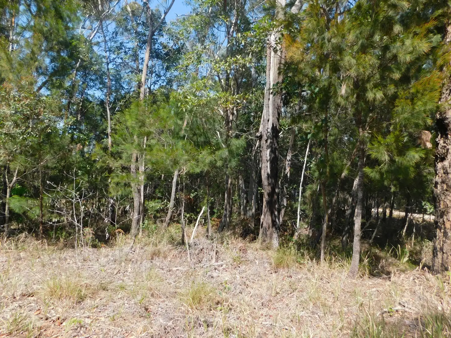 Main view of Homely land listing, 4 Waratah Street, Russell Island QLD 4184