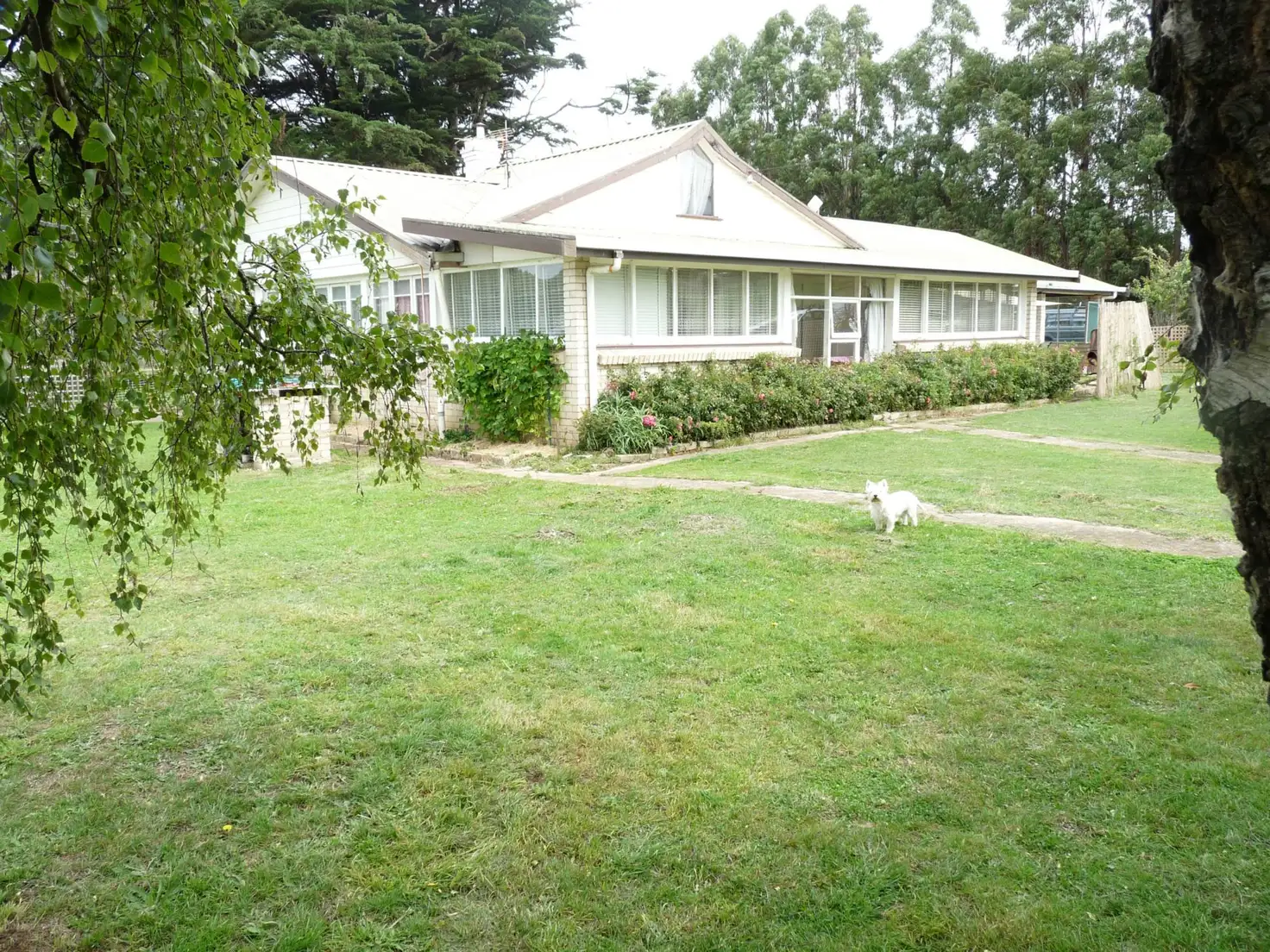 Main view of Homely rural property listing, 1112 Weegena Road, Weegena TAS 7304