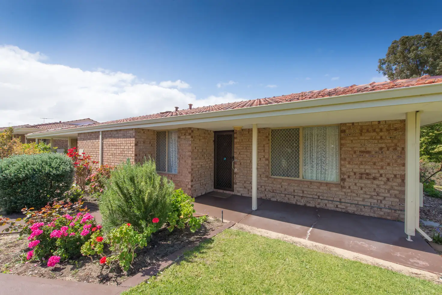 Main view of Homely villa listing, 37/186 Twickenham Drive, Kingsley WA 6026