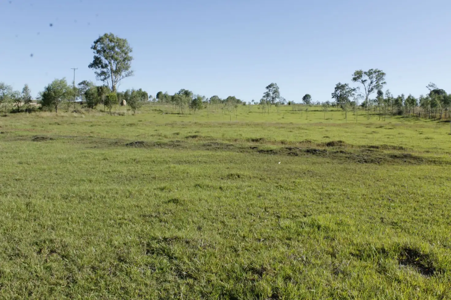 Main view of Homely rural property listing, Lot 13 Baupleview Road, Tiaro QLD 4650