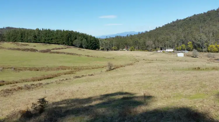 320 Priestleys Lane, Birralee TAS 7303