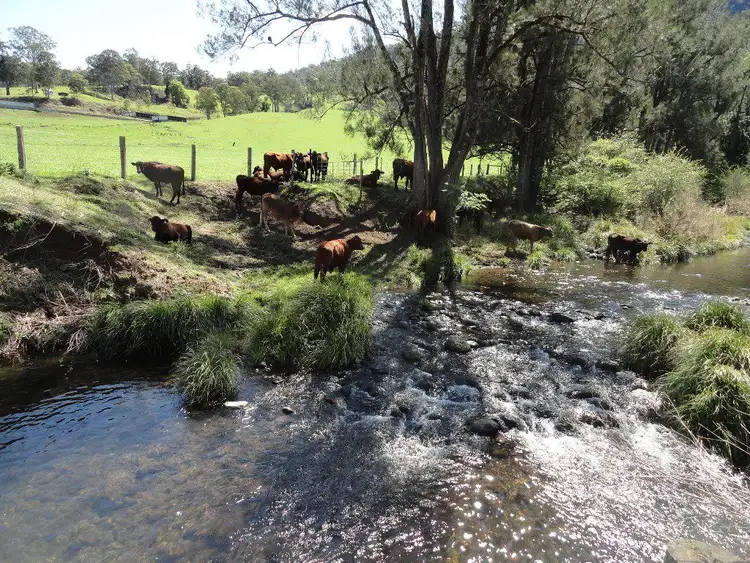 Sixth view of Homely rural property listing, Lot 1 - 1061 Lynchs Creek Road, Kyogle NSW 2474