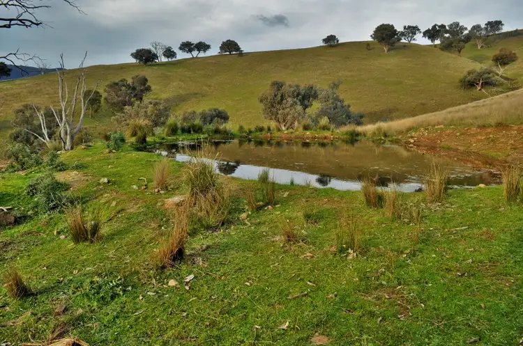 The Block - Packers Road, Bethanga VIC 3691