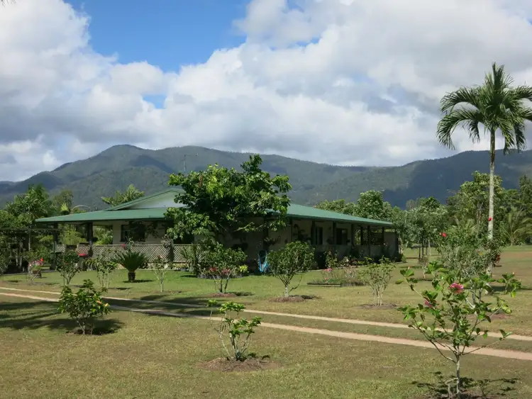 Main view of Homely rural property listing, 965 Kennedy Creek Road, Carruchan QLD 4816