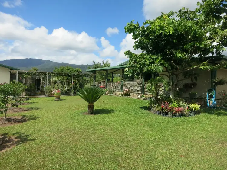 Second view of Homely rural property listing, 965 Kennedy Creek Road, Carruchan QLD 4816