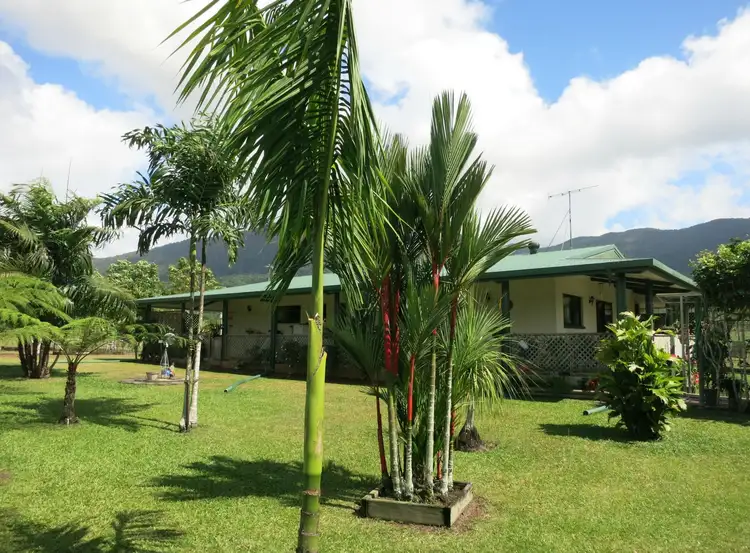 Sixth view of Homely rural property listing, 965 Kennedy Creek Road, Carruchan QLD 4816