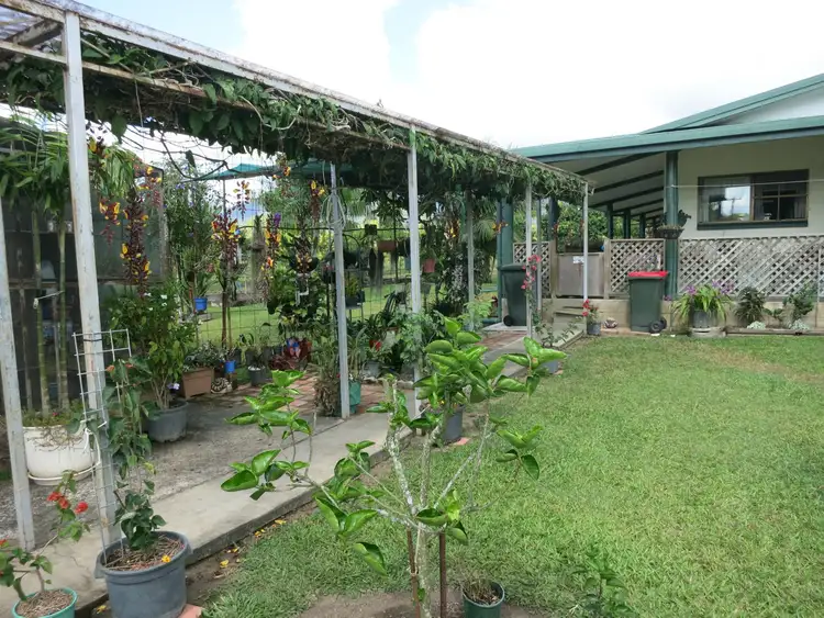 Seventh view of Homely rural property listing, 965 Kennedy Creek Road, Carruchan QLD 4816