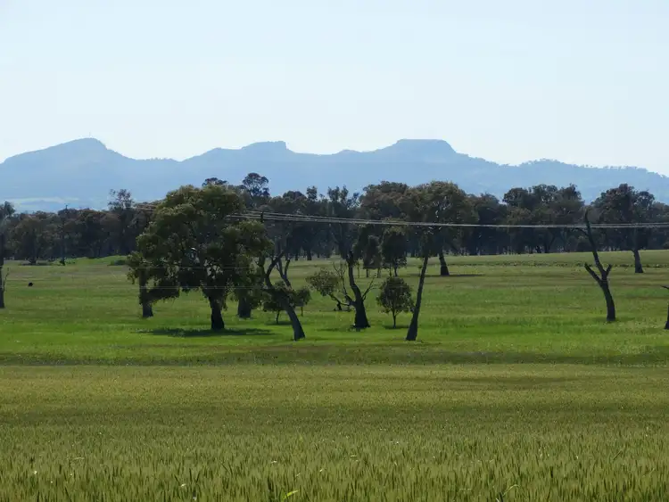 Second view of Homely rural property listing, . Urana & Klinberg Road, Jindera NSW 2642