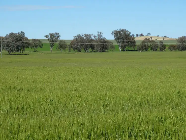 Fourth view of Homely rural property listing, . Urana & Klinberg Road, Jindera NSW 2642