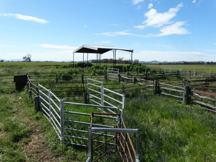 Seventh view of Homely rural property listing, . Urana & Klinberg Road, Jindera NSW 2642