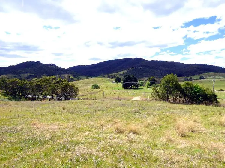 Seventh view of Homely rural property listing, Lot 43 & 44 Mt Darragh Road, Wyndham NSW 2550