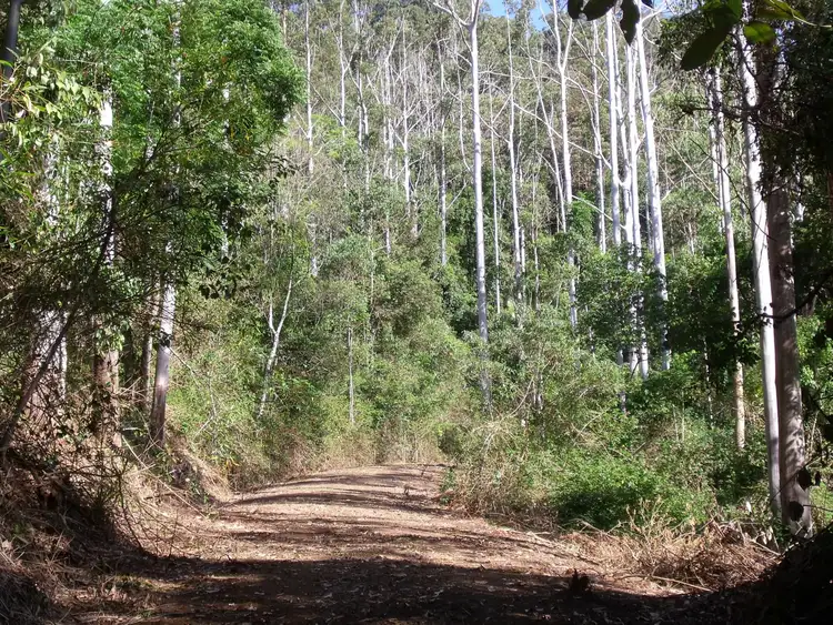 892 Turpentine Road, Kyogle NSW 2474