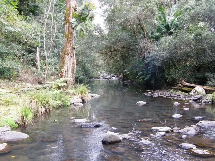Third view of Homely rural property listing, 892 Turpentine Road, Kyogle NSW 2474