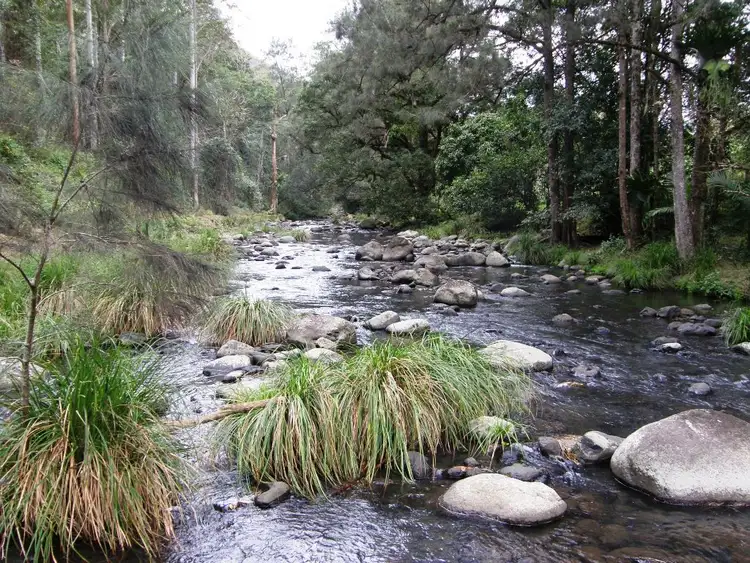 Fifth view of Homely rural property listing, 892 Turpentine Road, Kyogle NSW 2474