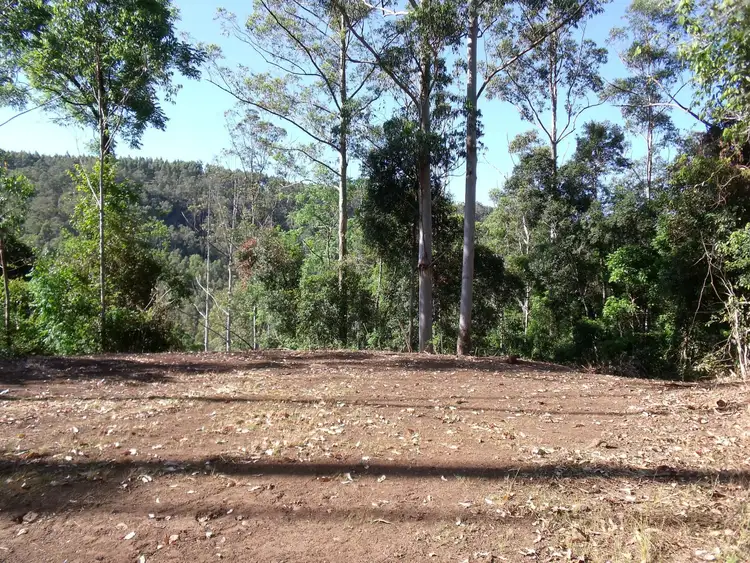 Seventh view of Homely rural property listing, 892 Turpentine Road, Kyogle NSW 2474