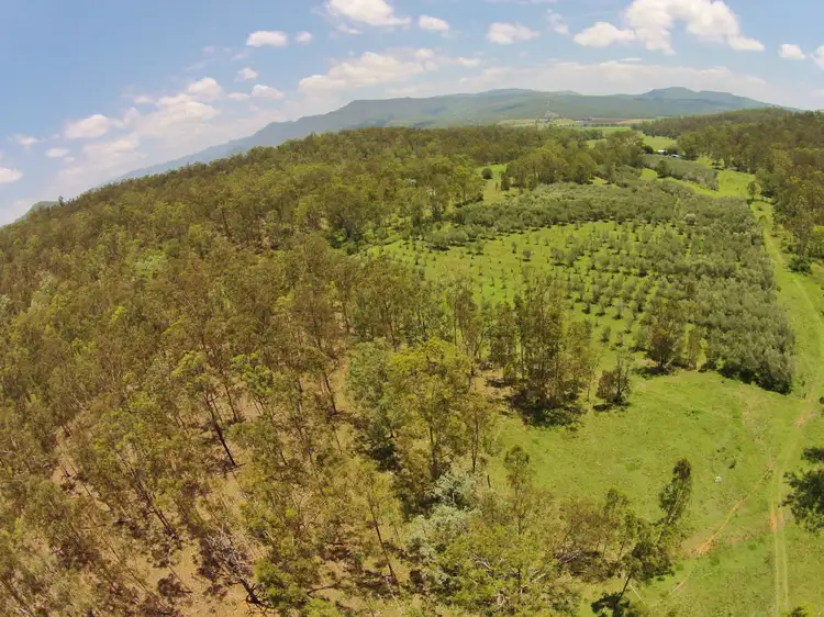 Sixth view of Homely rural property listing, 9 CEDAR GULLY Lane, Mulgowie QLD 4341