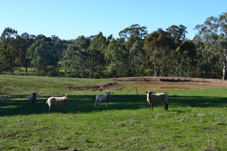 Sixth view of Homely land listing, 450 Highlands Road, Seymour VIC 3660