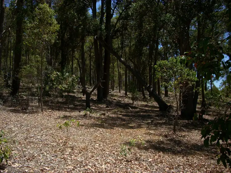 Fifth view of Homely land listing, 87 Myrtle Ridge, Argyle WA 6239