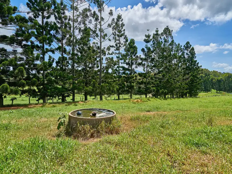 Fifth view of Homely land listing, Lot 11 55 Adams Road, Yungaburra QLD 4884
