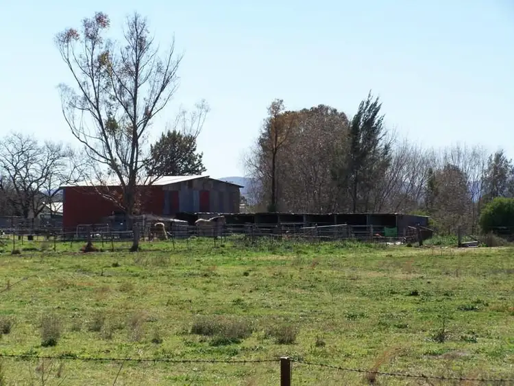 Fifth view of Homely rural property listing, 26 Andrew Street, Quirindi NSW 2343