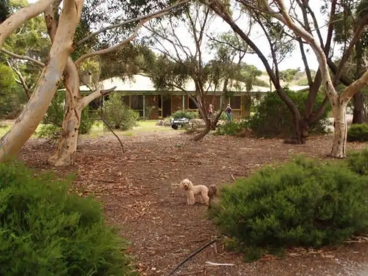 Second view of Homely house listing, 19 Ronald Street, Normanville SA 5204