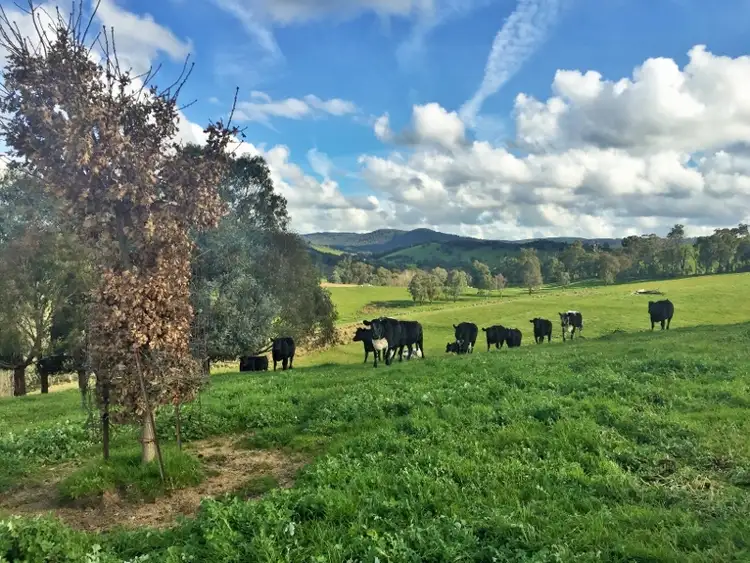 Sixth view of Homely rural property listing, Lot 28 Back Creek Road, Yackandandah VIC 3749