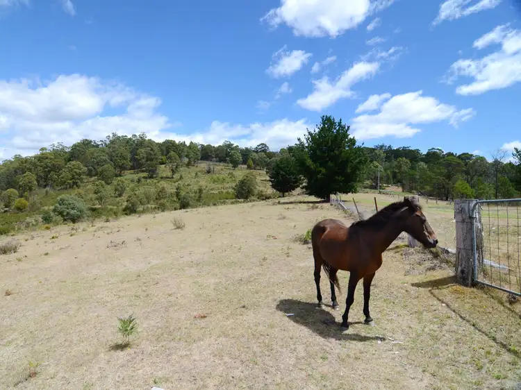 Fourth view of Homely land listing, 135 Yambulla Road, Towamba NSW 2550