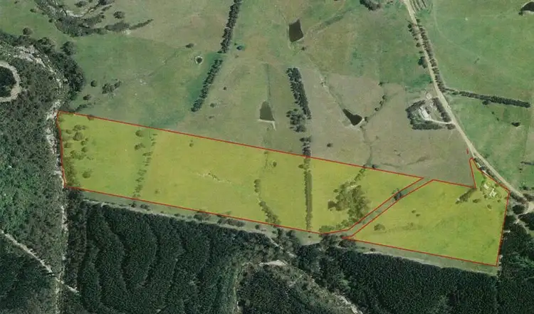 Seventh view of Homely rural property listing, 2985 Burragate Road, Towamba NSW 2550