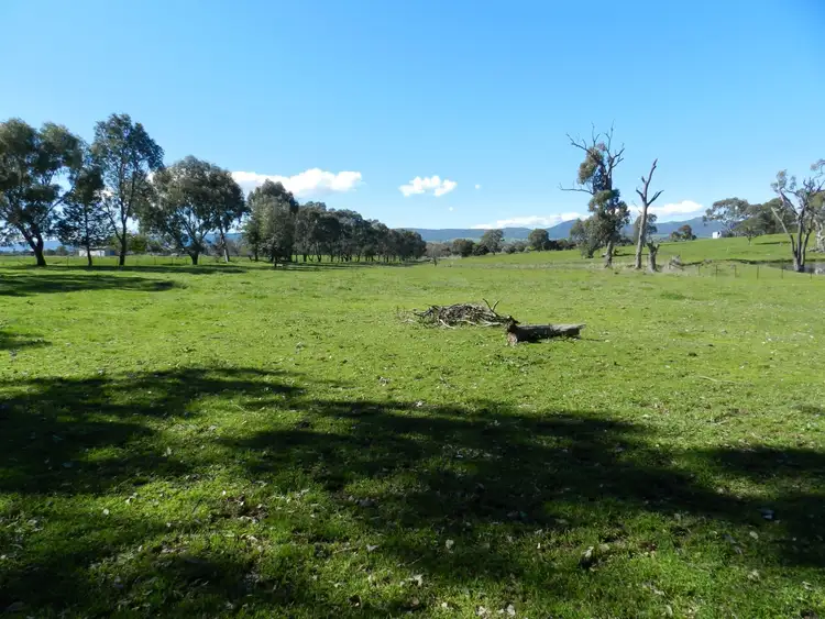 Fifth view of Homely land listing, 287 Gerogery West Road, Gerogery NSW 2642