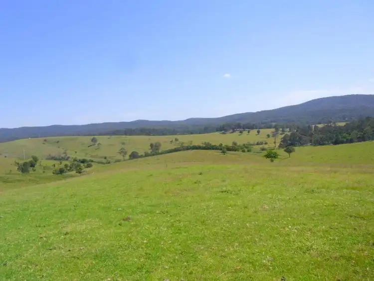 Third view of Homely rural property listing, 1754 Boggy Creek Road, Millingandi NSW 2549