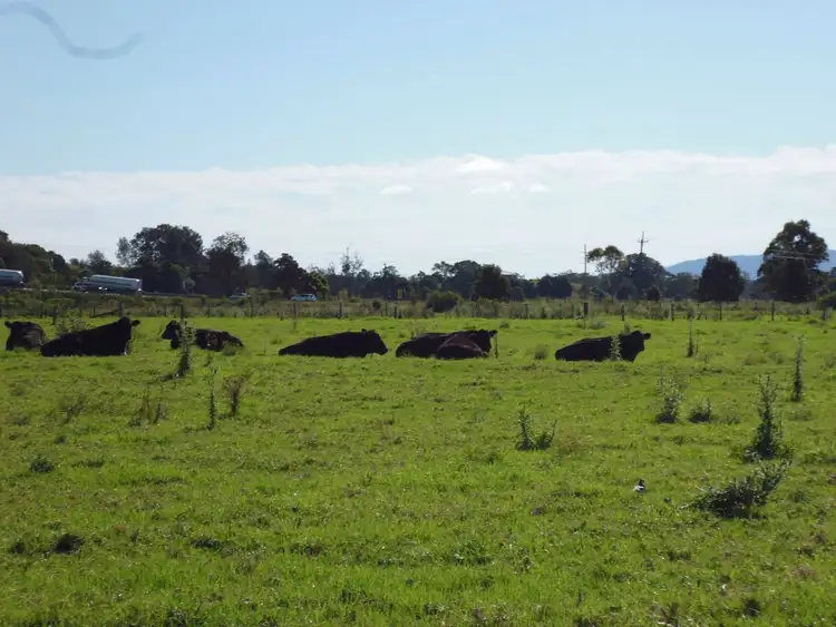 Sixth view of Homely rural property listing, 781 Pacific Highway, Frederickton NSW 2440