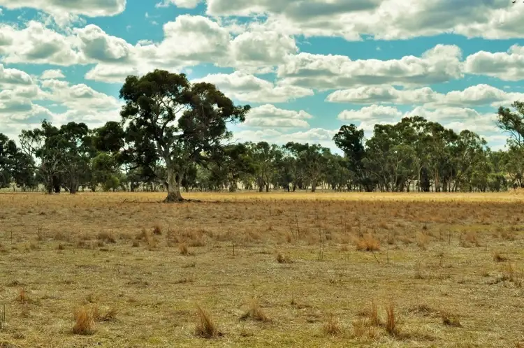 Sixth view of Homely rural property listing, 2037 Chiltern Valley Road, Rutherglen VIC 3685