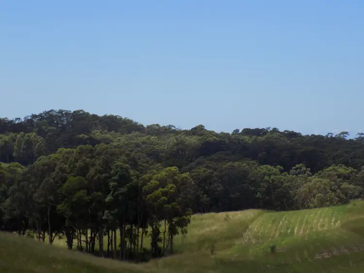 Fifth view of Homely land listing, 4 Eastern Valley Way, Tallwoods Village NSW 2430